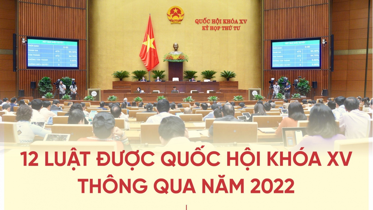 12 luật được Quốc hội khóa XV thông qua năm 2022